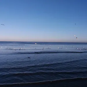 Sound Of The Sea Gdańsk